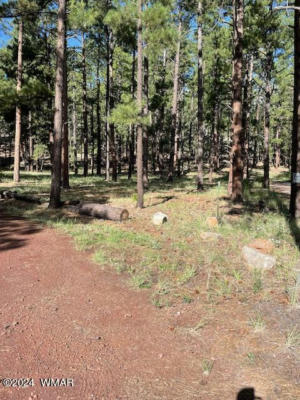 4 N 1039 STREET, GREER, AZ 85927 - Image 1