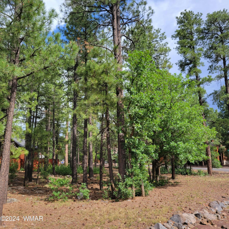 5696 HIDDEN OAK DR N, PINETOP, AZ 85935, photo 1 of 5