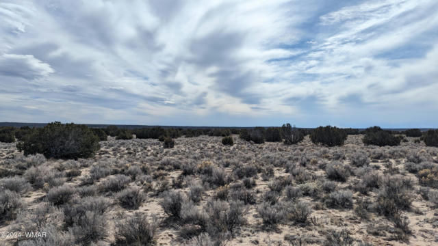 80 ACRES WITCH WELL RANCHES LOTS 205/6, ST. JOHNS, AZ 85936, photo 2 of 12