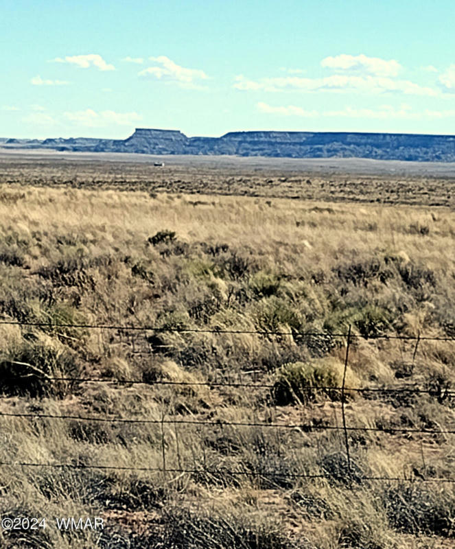 TRACT 517 PAINTED DESERT RANCHES, HOLBROOK, AZ 86025, photo 1 of 14