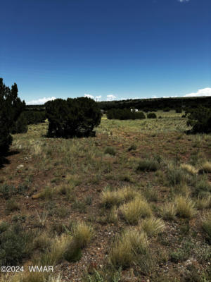 45 CR 5169, CONCHO, AZ 85924 - Image 1