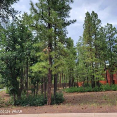 5696 HIDDEN OAK DR N, PINETOP, AZ 85935, photo 2 of 5