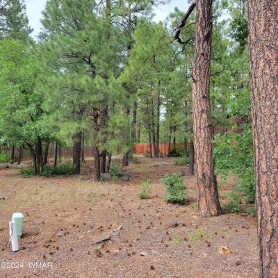 5696 HIDDEN OAK DR N, PINETOP, AZ 85935, photo 4 of 5