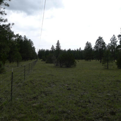 LOT D TBD THUNDERHORSE ROAD, LAKESIDE, AZ 85929, photo 4 of 7