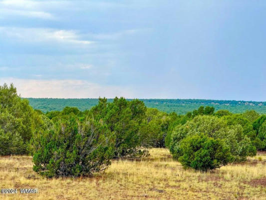 0 SILVER LAKE BLVD 248.5 ACRES, SHOW LOW, AZ 85901, photo 2 of 15