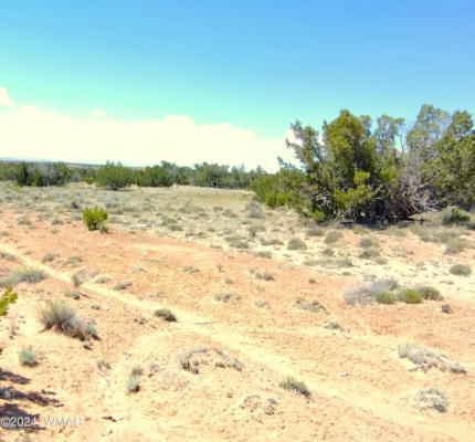 LOT 46A WITCH WELL RANCHES, ST. JOHNS, AZ 85936, photo 4 of 7