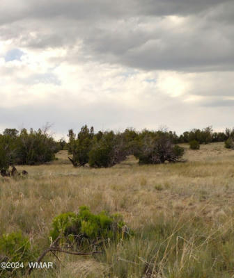 LOT 94A WITCH WELL RANCHES, ST. JOHNS, AZ 85936, photo 3 of 8