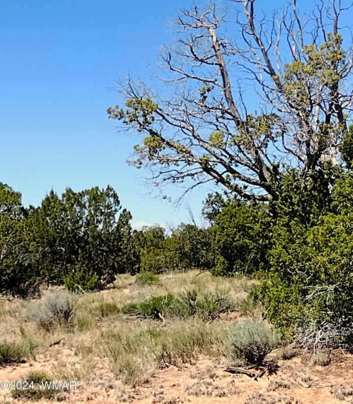 LOT 46A WITCH WELL RANCHES, ST. JOHNS, AZ 85936, photo 1 of 7
