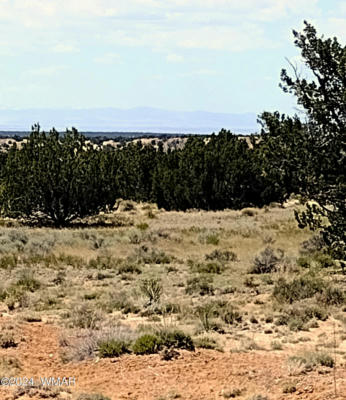 LOT 46A WITCH WELL RANCHES, ST. JOHNS, AZ 85936, photo 2 of 7