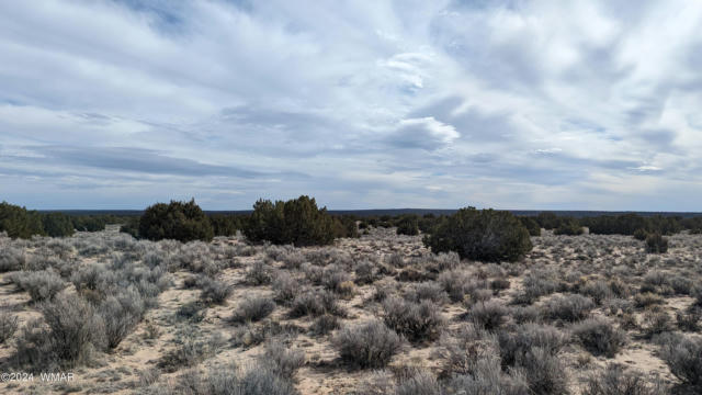 80 ACRES WITCH WELL RANCHES LOTS 205/6, ST. JOHNS, AZ 85936, photo 3 of 12
