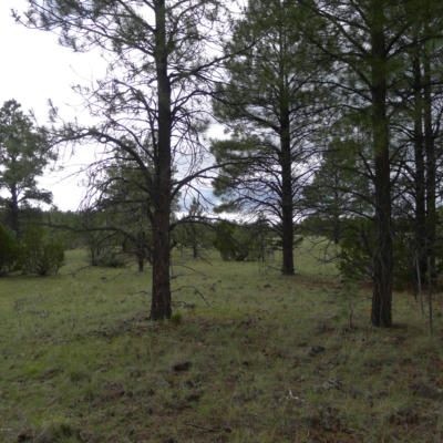 LOT D TBD THUNDERHORSE ROAD, LAKESIDE, AZ 85929, photo 3 of 7