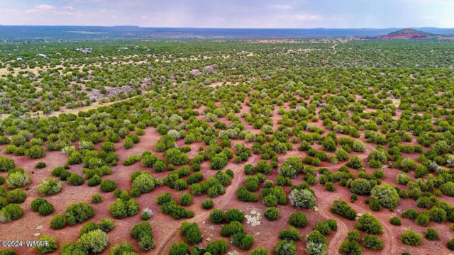 0 SILVER LAKE BLVD 248.5 ACRES, SHOW LOW, AZ 85901, photo 5 of 15