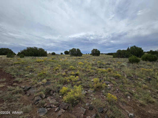 TBD CR 5151, CONCHO, AZ 85924 - Image 1