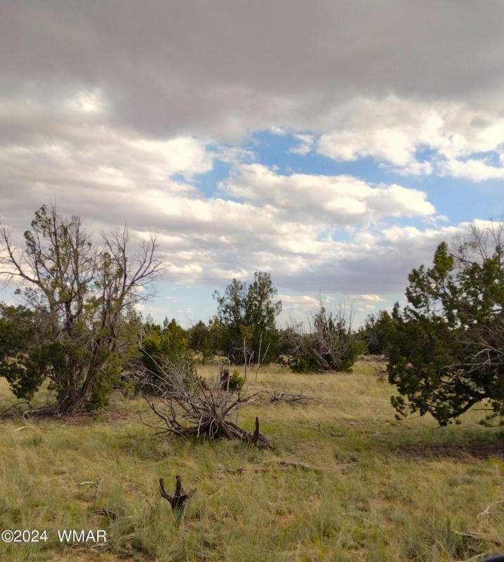 LOT 94A WITCH WELL RANCHES, ST. JOHNS, AZ 85936, photo 1 of 8