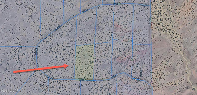 TBD 18.75 ACRES AT RED SKY RANCH, ST. JOHNS, AZ 85936 - Image 1