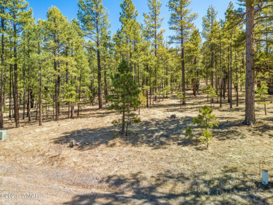 18 COUNTY ROAD 1320, GREER, AZ 85927 - Image 1