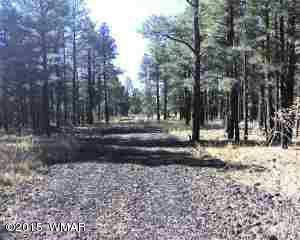 LOT D TBD THUNDERHORSE ROAD, LAKESIDE, AZ 85929, photo 1 of 7