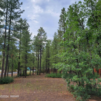 5696 HIDDEN OAK DR N, PINETOP, AZ 85935, photo 5 of 5