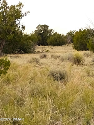LOT 94A WITCH WELL RANCHES, ST. JOHNS, AZ 85936, photo 2 of 8
