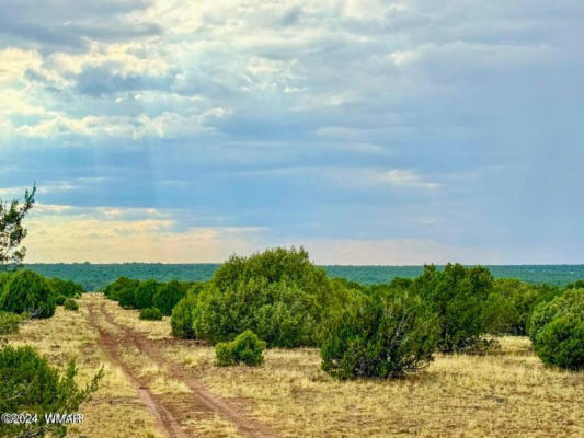 0 SILVER LAKE BLVD 248.5 ACRES, SHOW LOW, AZ 85901, photo 4 of 15