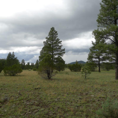 LOT D TBD THUNDERHORSE ROAD, LAKESIDE, AZ 85929, photo 5 of 7