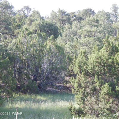 TBD W SNOWLINE DRIVE, EAGAR, AZ 85925 - Image 1