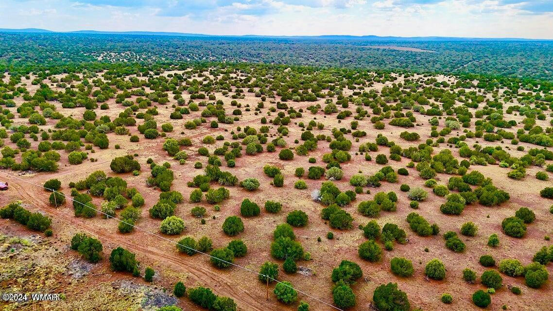 0 SILVER LAKE BLVD 248.5 ACRES, SHOW LOW, AZ 85901, photo 1 of 15